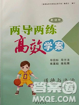 希望出版社2023新课标两导两练高效学案三年级下册道德与法治人教版参考答案