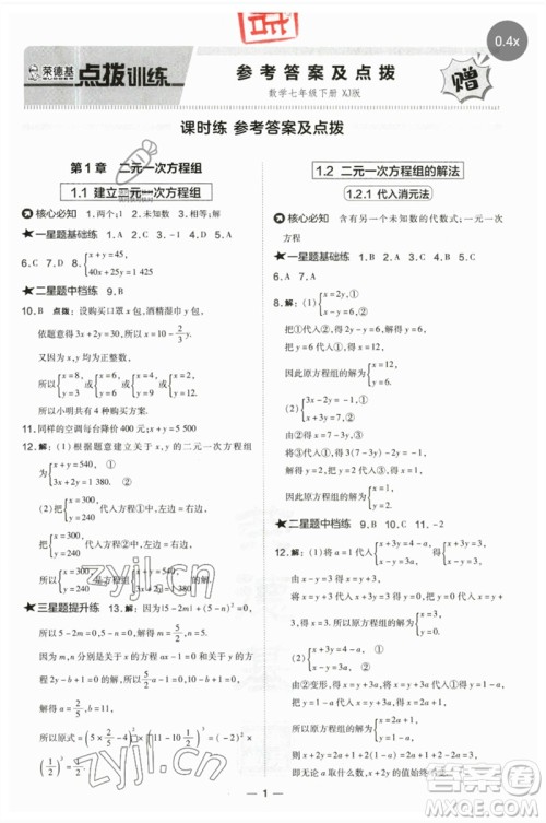 山西教育出版社2023点拨训练七年级数学下册湘教版参考答案