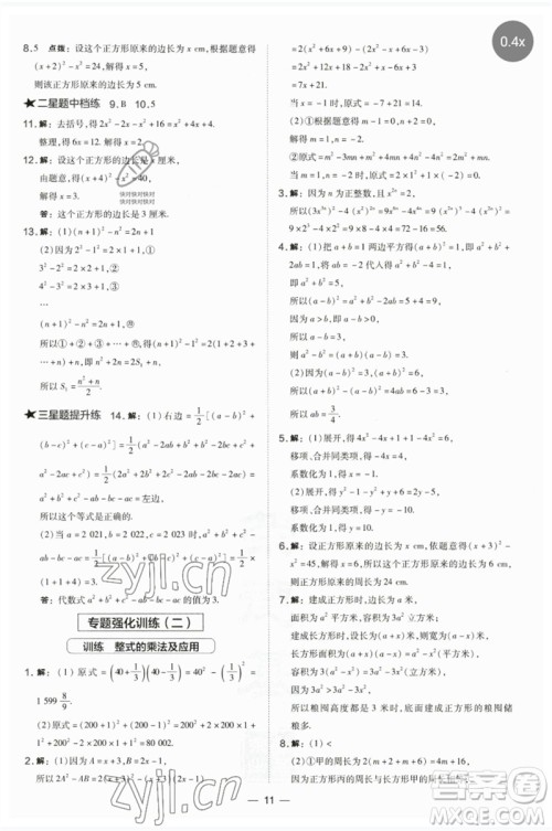 山西教育出版社2023点拨训练七年级数学下册湘教版参考答案