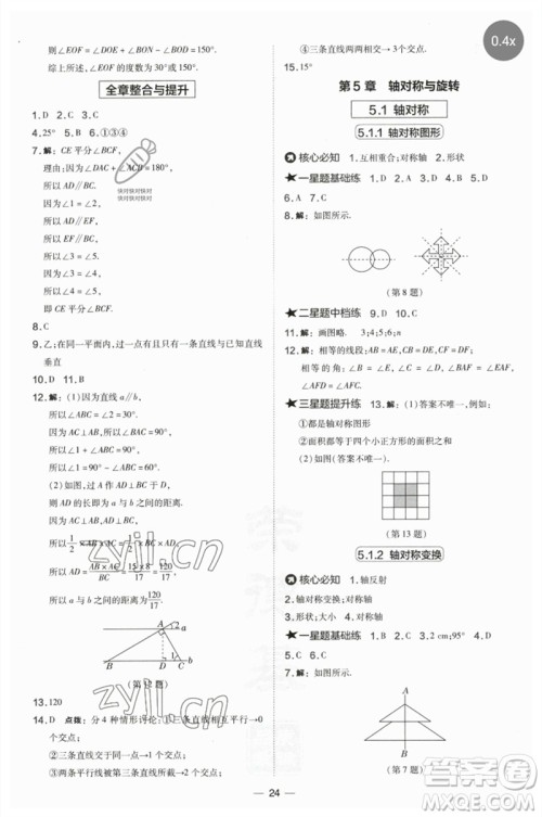 山西教育出版社2023点拨训练七年级数学下册湘教版参考答案