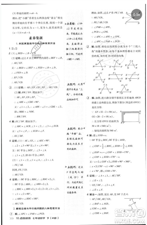 吉林教育出版社2023点拨训练七年级数学下册人教版参考答案