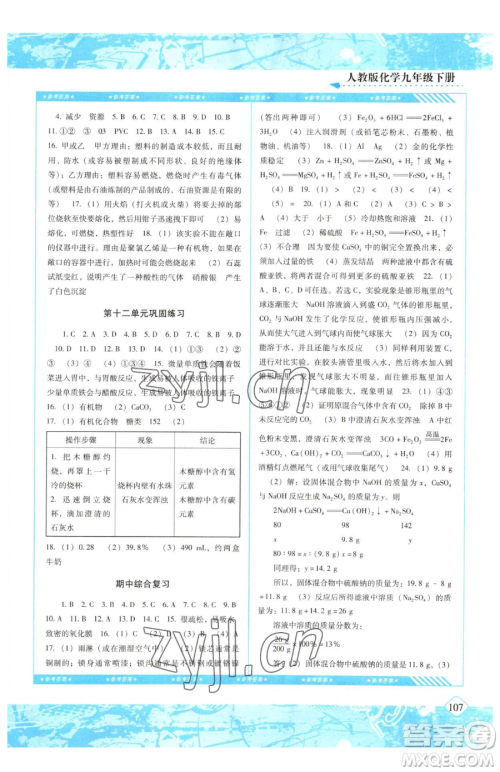 湖南少年儿童出版社2023同步实践评价课程基础训练九年级下册化学人教版参考答案