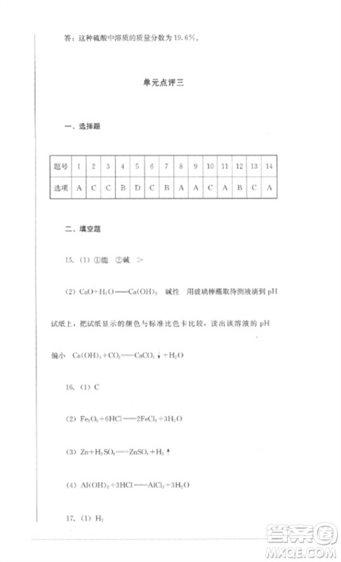 四川教育出版社2023学情点评九年级化学下册人教版参考答案