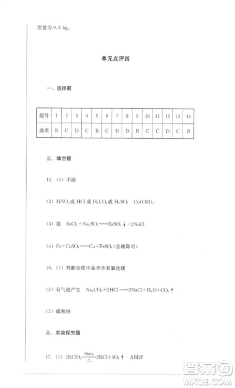 四川教育出版社2023学情点评九年级化学下册人教版参考答案