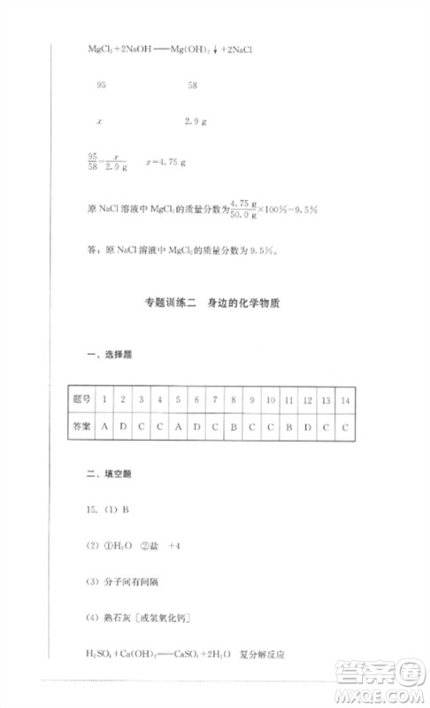 四川教育出版社2023学情点评九年级化学下册人教版参考答案