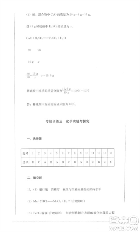 四川教育出版社2023学情点评九年级化学下册人教版参考答案