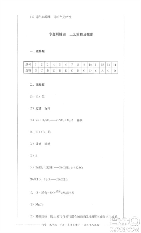 四川教育出版社2023学情点评九年级化学下册人教版参考答案