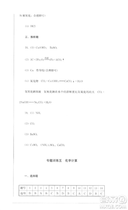 四川教育出版社2023学情点评九年级化学下册人教版参考答案