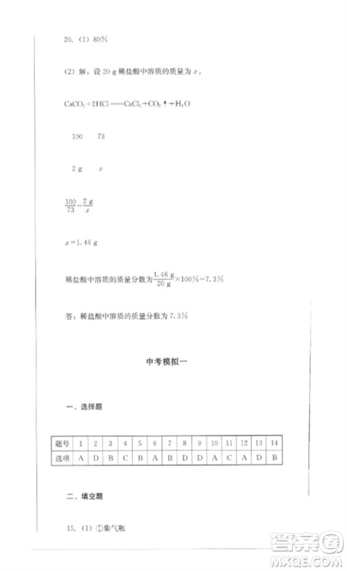 四川教育出版社2023学情点评九年级化学下册人教版参考答案