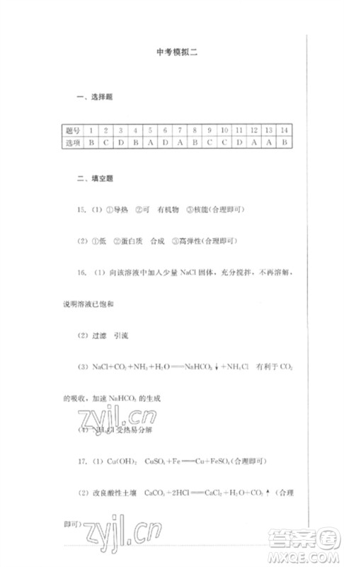 四川教育出版社2023学情点评九年级化学下册人教版参考答案