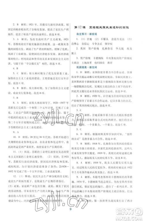 广东教育出版社2023南方新课堂金牌学案九年级下册历史人教版参考答案
