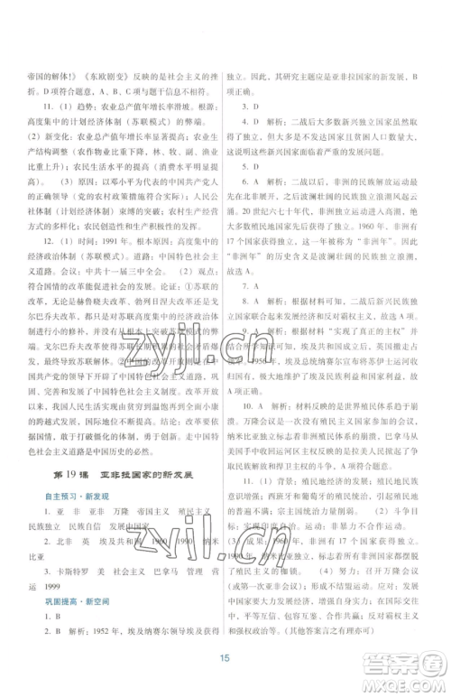 广东教育出版社2023南方新课堂金牌学案九年级下册历史人教版参考答案