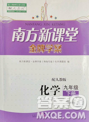 广东教育出版社2023南方新课堂金牌学案九年级下册化学人教版珠海专版参考答案