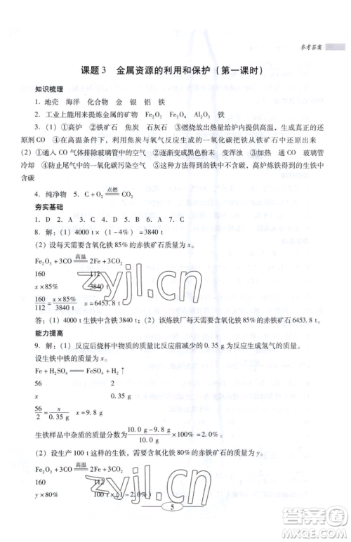 广东教育出版社2023南方新课堂金牌学案九年级下册化学人教版珠海专版参考答案