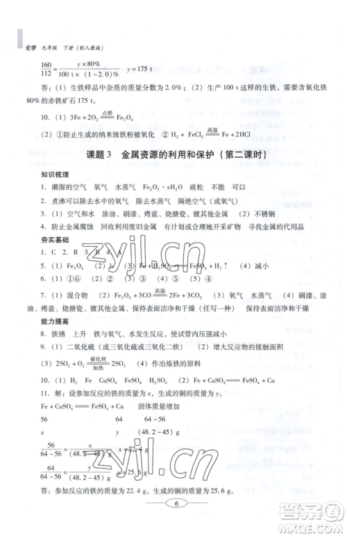广东教育出版社2023南方新课堂金牌学案九年级下册化学人教版珠海专版参考答案