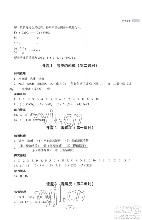 广东教育出版社2023南方新课堂金牌学案九年级下册化学人教版珠海专版参考答案