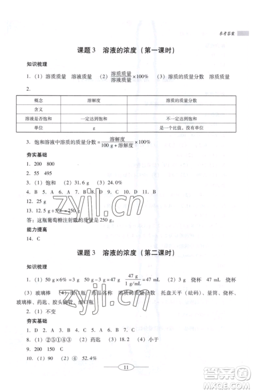 广东教育出版社2023南方新课堂金牌学案九年级下册化学人教版珠海专版参考答案