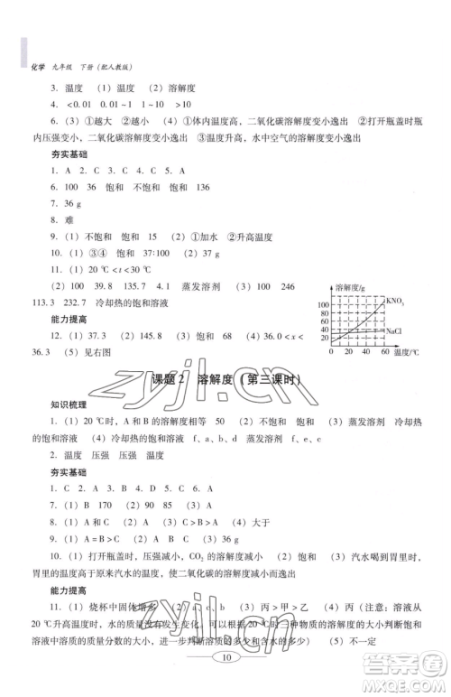 广东教育出版社2023南方新课堂金牌学案九年级下册化学人教版珠海专版参考答案