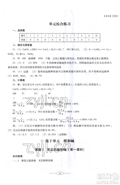 广东教育出版社2023南方新课堂金牌学案九年级下册化学人教版珠海专版参考答案