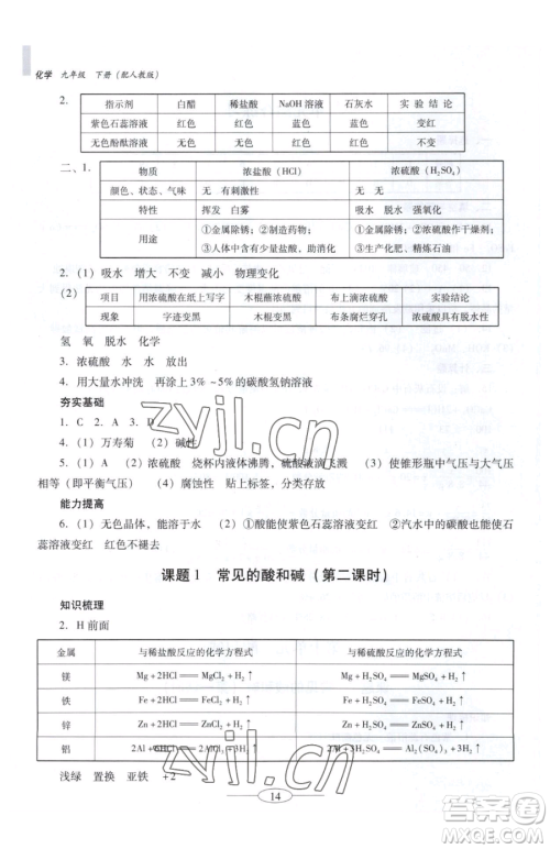 广东教育出版社2023南方新课堂金牌学案九年级下册化学人教版珠海专版参考答案