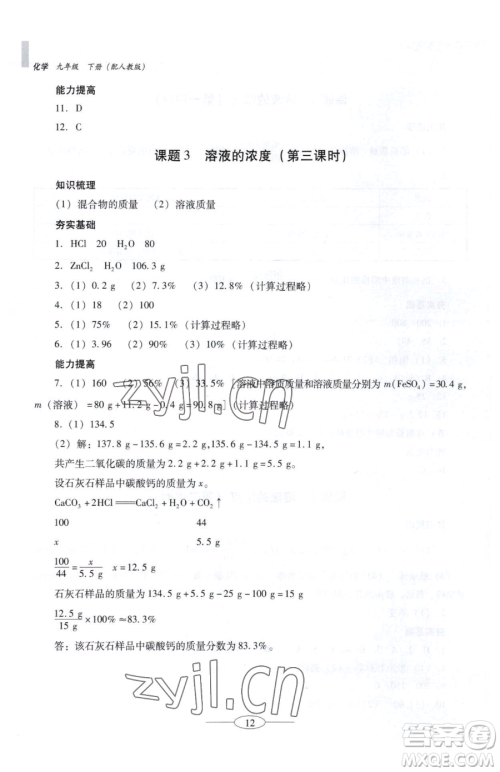 广东教育出版社2023南方新课堂金牌学案九年级下册化学人教版珠海专版参考答案