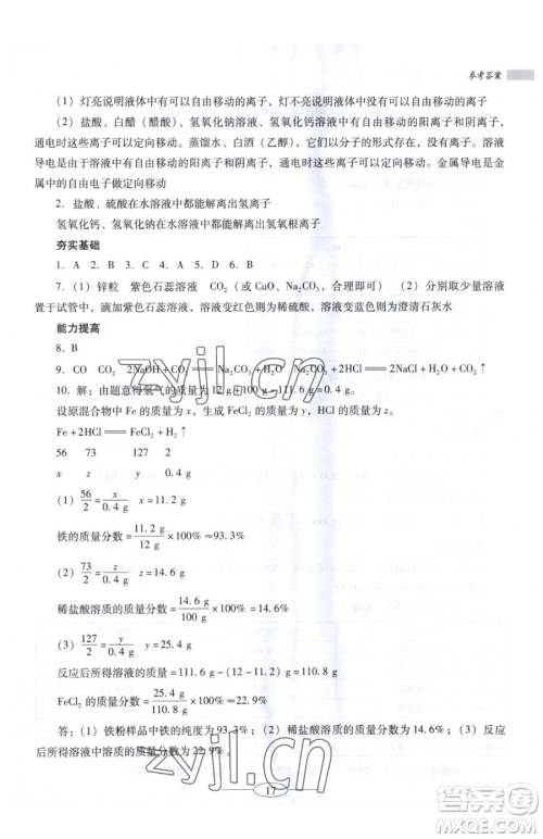 广东教育出版社2023南方新课堂金牌学案九年级下册化学人教版珠海专版参考答案