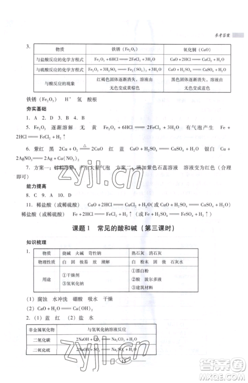 广东教育出版社2023南方新课堂金牌学案九年级下册化学人教版珠海专版参考答案