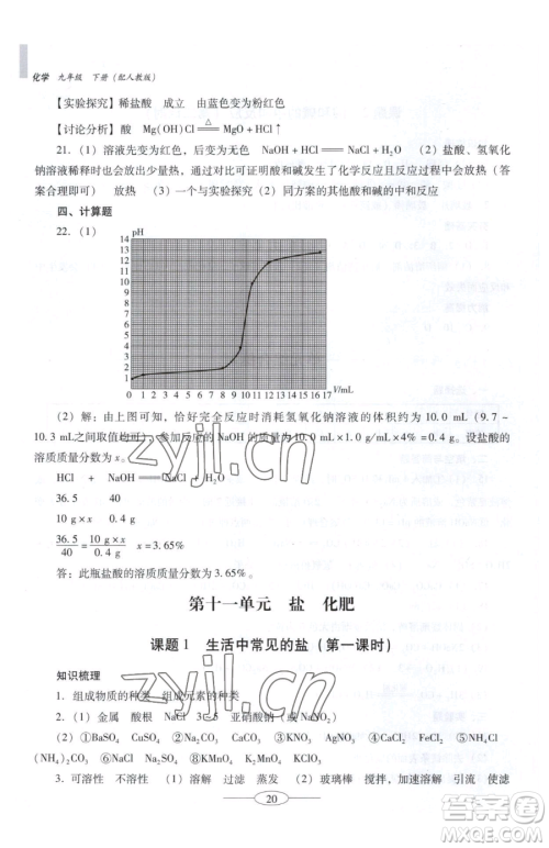 广东教育出版社2023南方新课堂金牌学案九年级下册化学人教版珠海专版参考答案