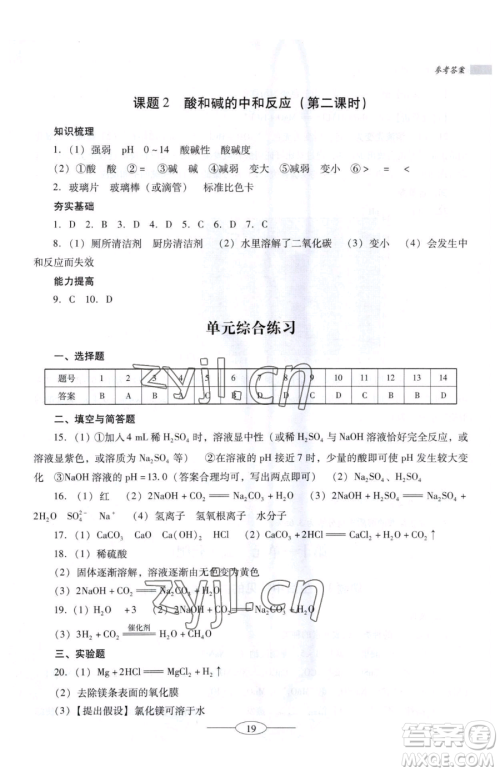 广东教育出版社2023南方新课堂金牌学案九年级下册化学人教版珠海专版参考答案