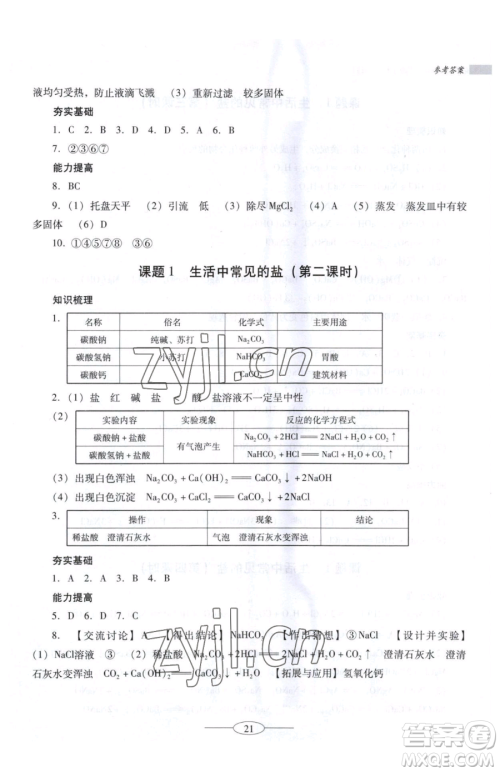 广东教育出版社2023南方新课堂金牌学案九年级下册化学人教版珠海专版参考答案