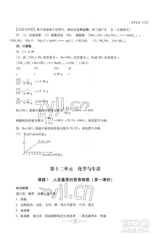 广东教育出版社2023南方新课堂金牌学案九年级下册化学人教版珠海专版参考答案