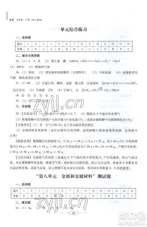 广东教育出版社2023南方新课堂金牌学案九年级下册化学人教版珠海专版参考答案