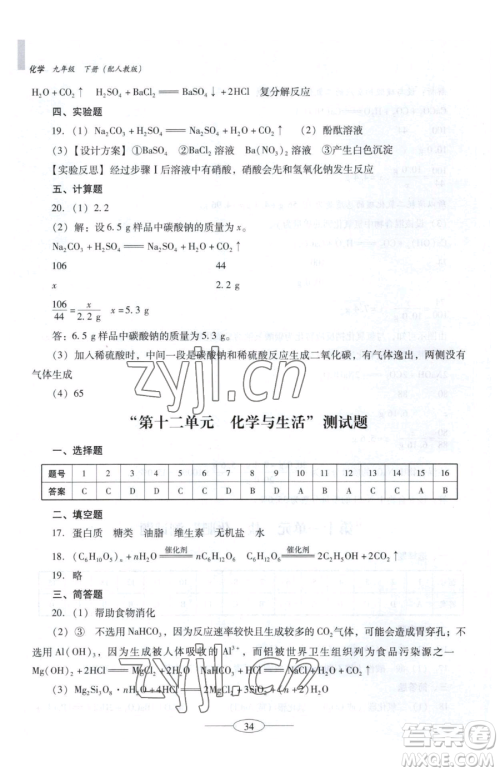 广东教育出版社2023南方新课堂金牌学案九年级下册化学人教版珠海专版参考答案