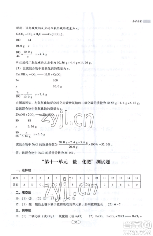 广东教育出版社2023南方新课堂金牌学案九年级下册化学人教版珠海专版参考答案