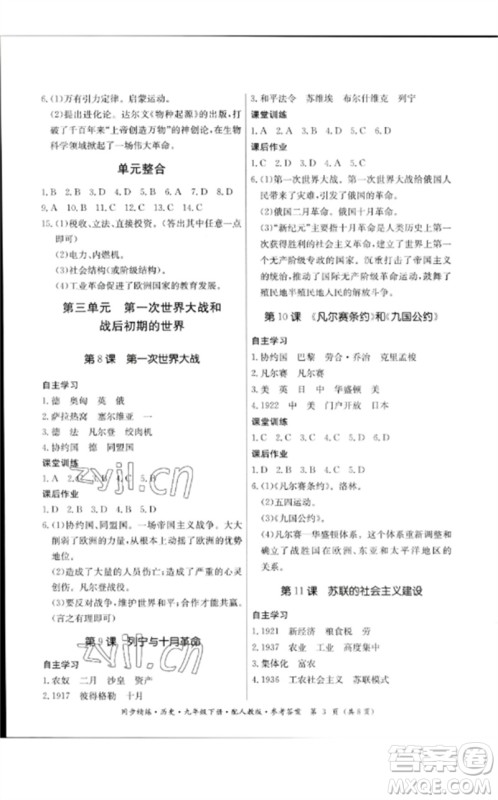 广东教育出版社2023名师小课堂同步精练九年级历史下册人教版参考答案