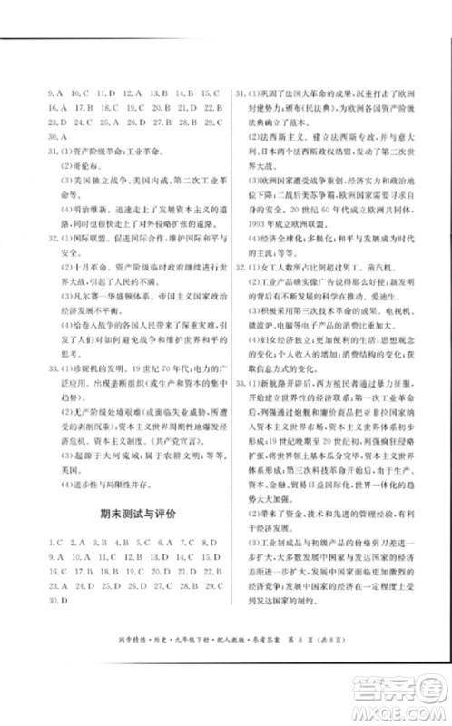 广东教育出版社2023名师小课堂同步精练九年级历史下册人教版参考答案