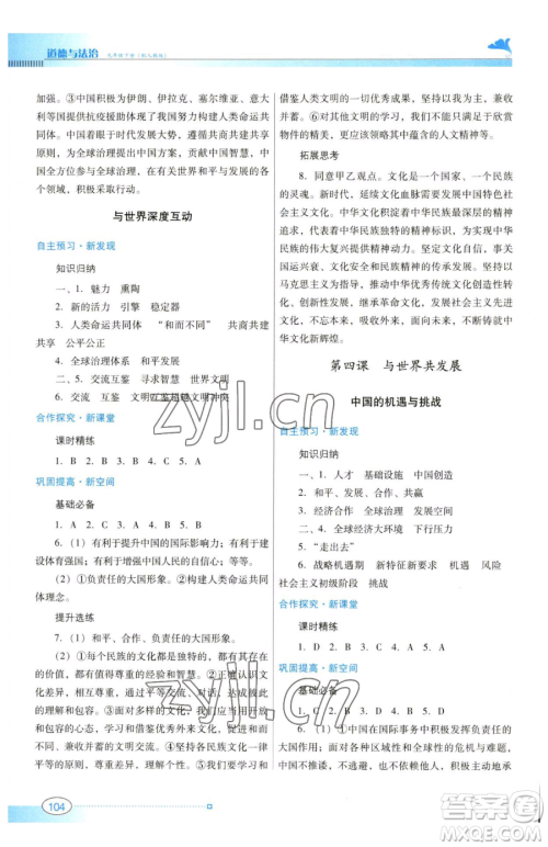 广东教育出版社2023南方新课堂金牌学案九年级下册道德与法治人教版参考答案