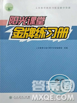 人民教育出版社2023阳光课堂金牌练习册九年级下册化学人教版参考答案