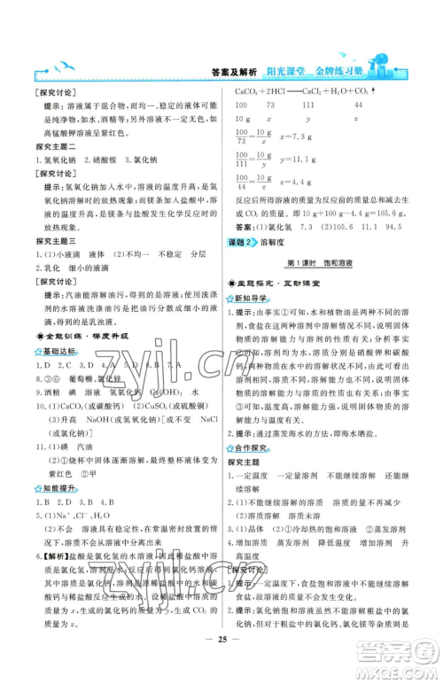 人民教育出版社2023阳光课堂金牌练习册九年级下册化学人教版参考答案