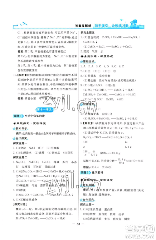 人民教育出版社2023阳光课堂金牌练习册九年级下册化学人教版参考答案