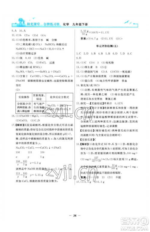 人民教育出版社2023阳光课堂金牌练习册九年级下册化学人教版参考答案