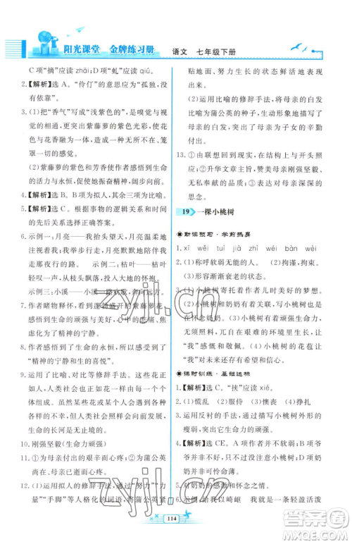 人民教育出版社2023阳光课堂金牌练习册七年级下册语文人教版福建专版参考答案