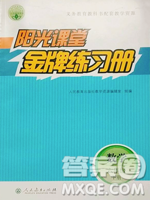 人民教育出版社2023阳光课堂金牌练习册六年级下册数学人教版参考答案