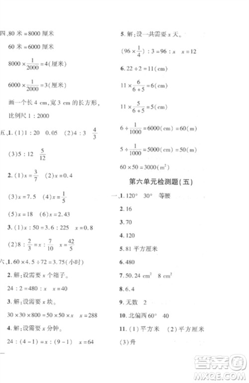 济南出版社2023教育世家状元卷六年级数学下册人教版参考答案