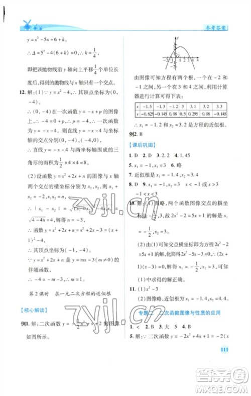陕西师范大学出版总社2023绩优学案九年级数学下册北师大版参考答案