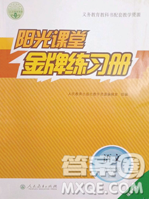 人民教育出版社2023阳光课堂金牌练习册九年级下册语文人教版福建专版参考答案