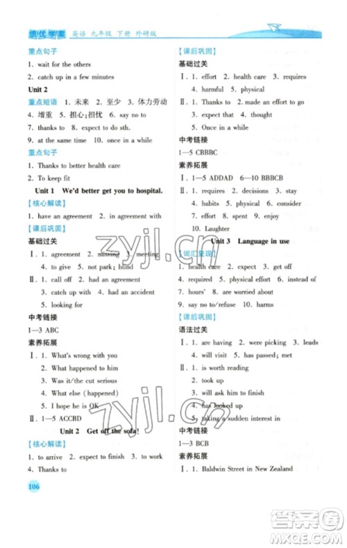 陕西师范大学出版总社2023绩优学案九年级英语下册外研版参考答案