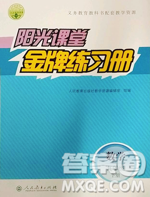 人民教育出版社2023阳光课堂金牌练习册九年级下册数学人教版参考答案