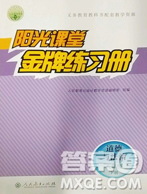 人民教育出版社2023阳光课堂金牌练习册八年级下册道德与法治人教版参考答案