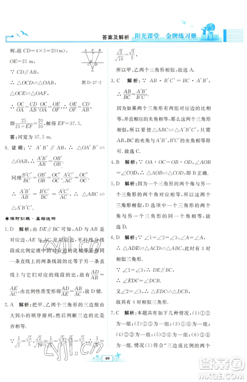 人民教育出版社2023阳光课堂金牌练习册九年级下册数学人教版福建专版参考答案